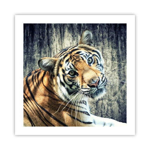 Poszter - Portré a fénysugárban - 50x50 cm