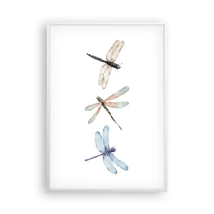 Poszter fekete keretben - Súlytalan szitakötők - 70x100 cm