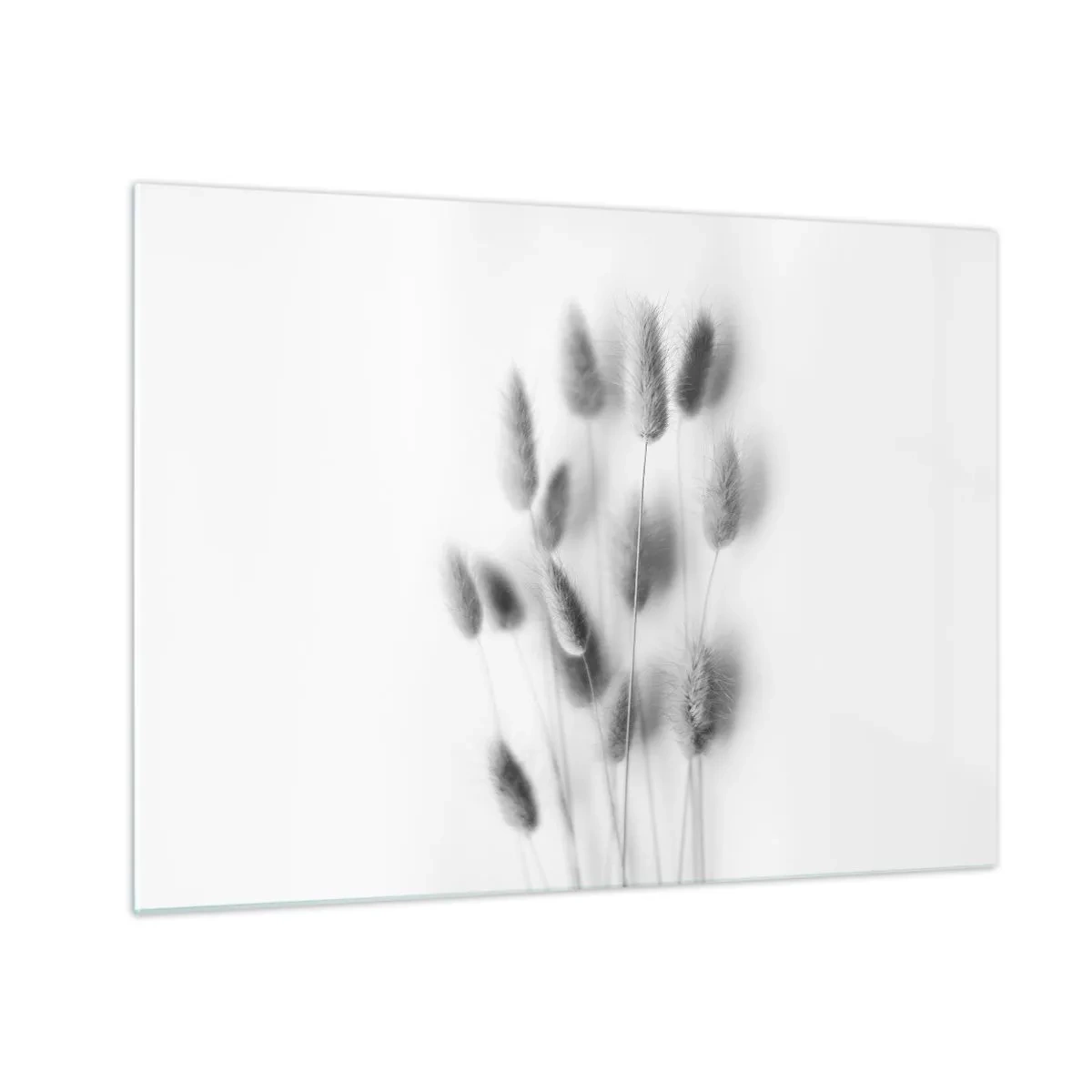 Üveg kép - Fekete-fehér fűfülek világos háttéren, minimalista stílusban - 70x50cm - A bolyhos fű - Modern fali dekoráció nappalihoz és hálószobához ARTTOR