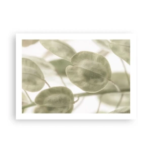 Poszter - Kezdetben levelek voltak... - 70x50 cm