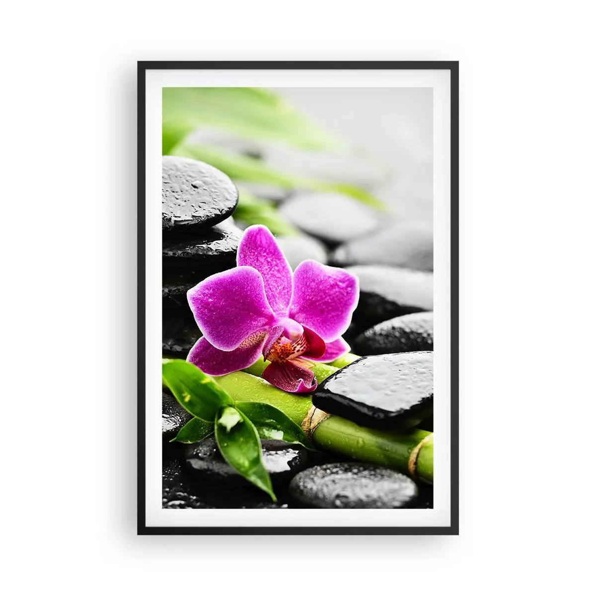 Poszter fehér keretben - Nyugodt egyensúlyban - 61x91 cm