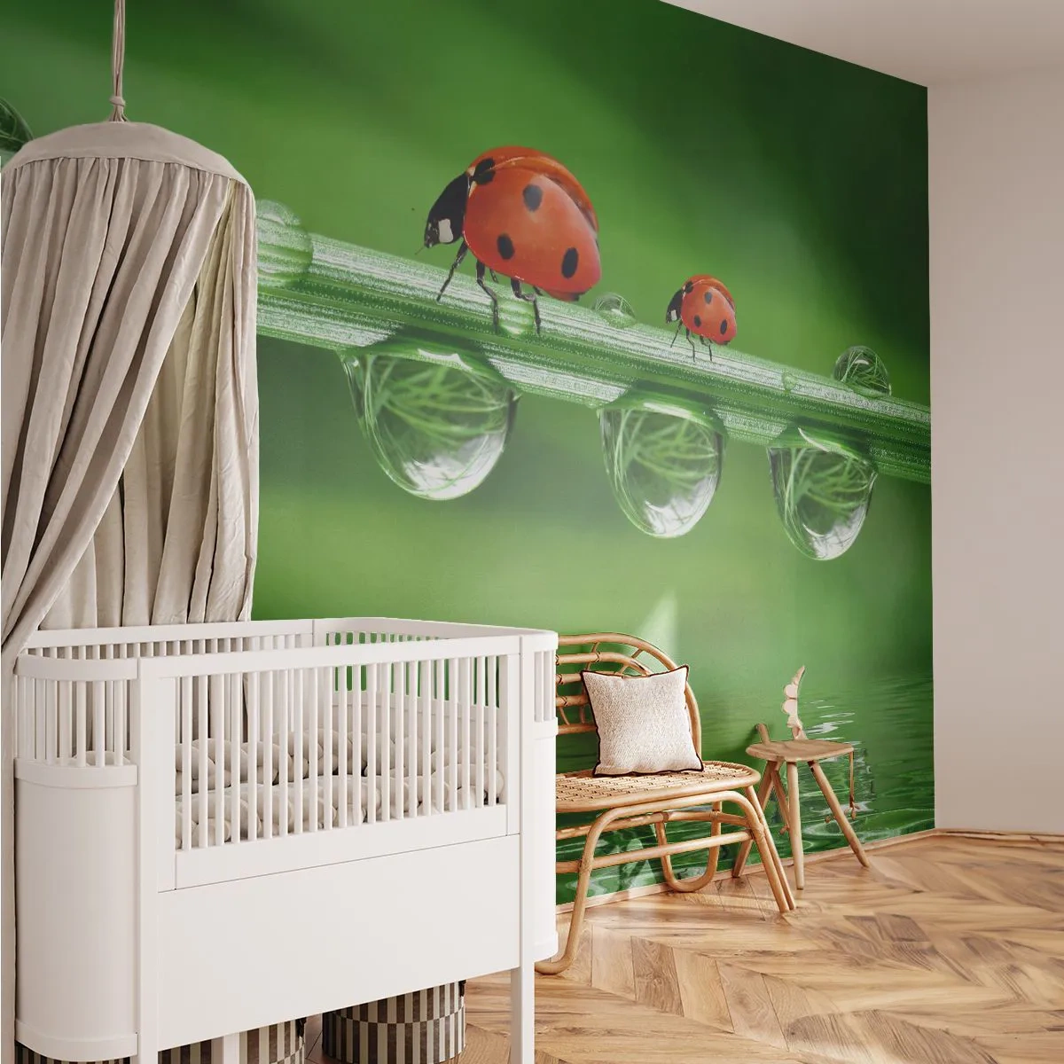 Fotótapéta Standard Eco - Egész nyáron az úton - Katicabogár, Egy csepp víz, Természet - 400x280 cm