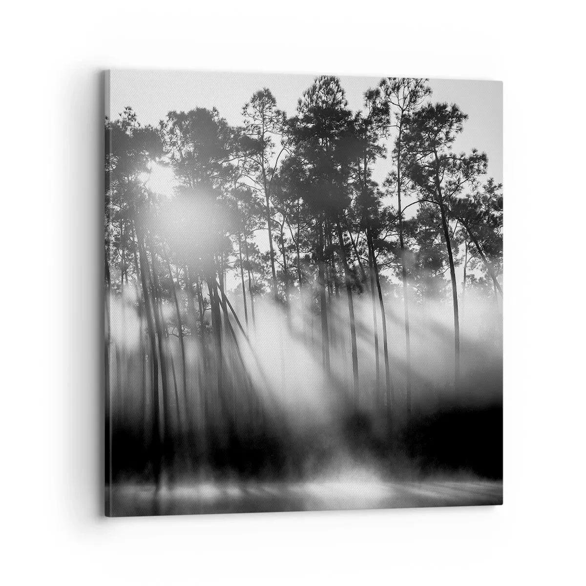 Vászonkép - Megállíthatatlan nap - 70x70 cm