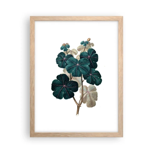 Poszter világos tölgy keretben - Egy régi herbáriumból - 30x40 cm