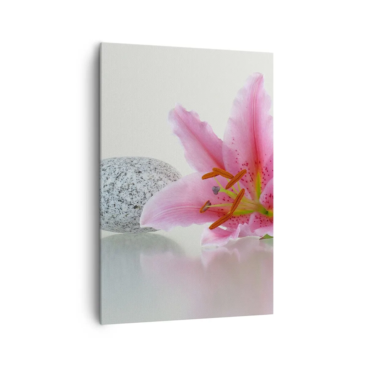 Vászonkép - Egy tanulmány rózsaszín, szürke és fehér színben - 70x100 cm