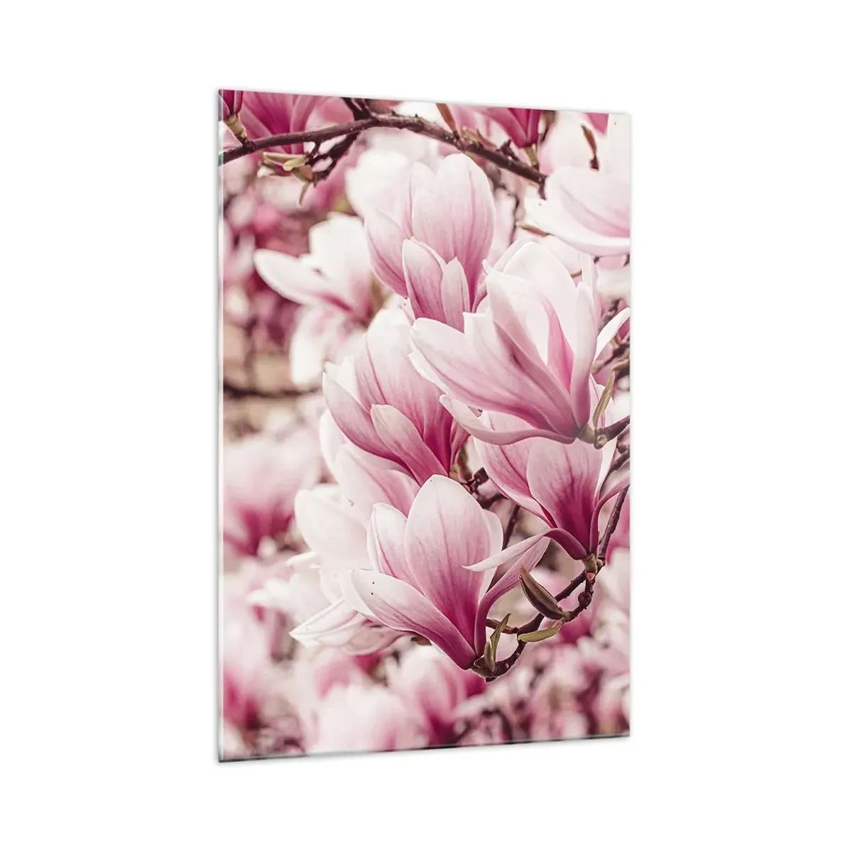 Üveg kép - A tavasz rózsaszínű - 70x100 cm