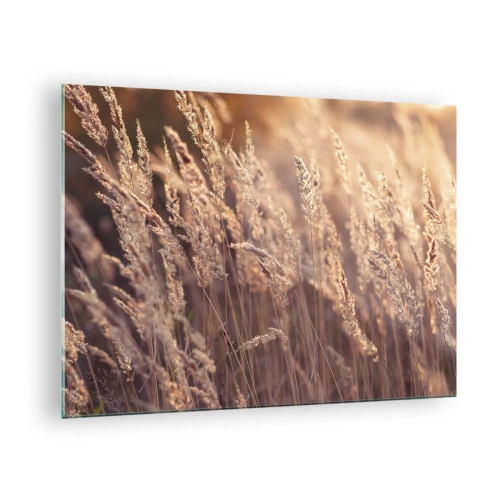 Üveg kép - Aranyló füvek, melyeket a lenyugvó nap sugarai világítanak meg - 70x50cm - Készen az ősz fogadására - Modern fali dekoráció nappalihoz és hálószobához ARTTOR