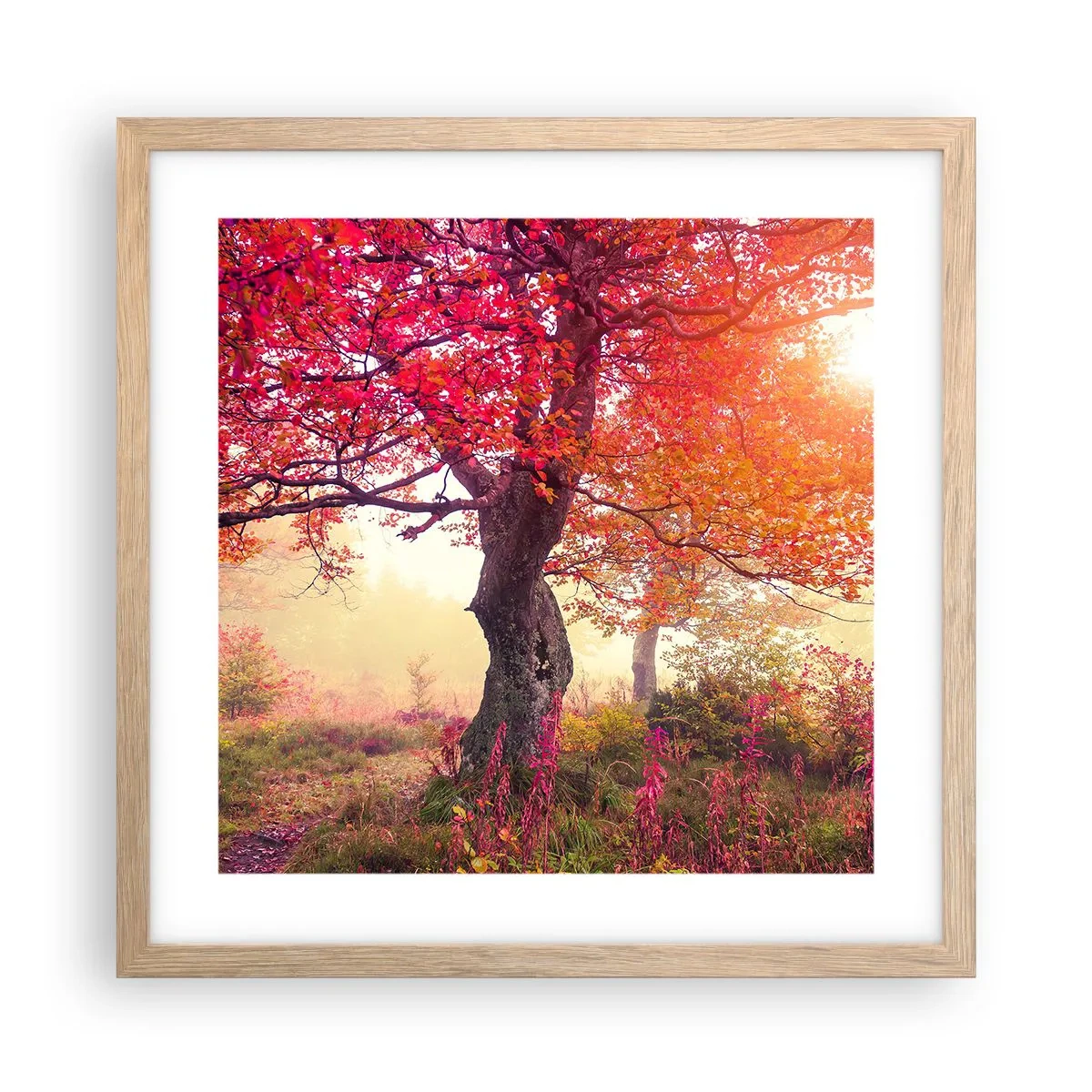 Poszter világos tölgy keretben - Virágzás őrülete - 40x40 cm