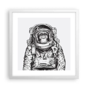 Poszter fekete keretben - Alternatív evolúció - 40x40 cm