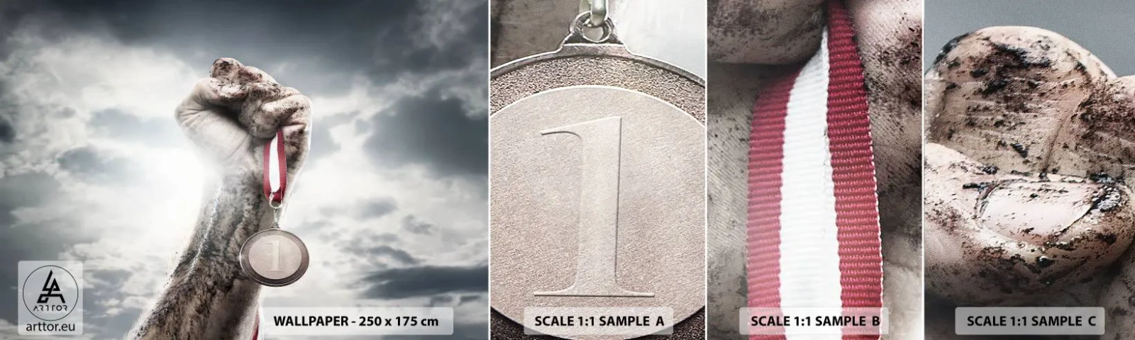 Fotótapéta Minta Standard Eco - Per aspera ad astra - Sport, Sportérem, 3D - 100x30 cm