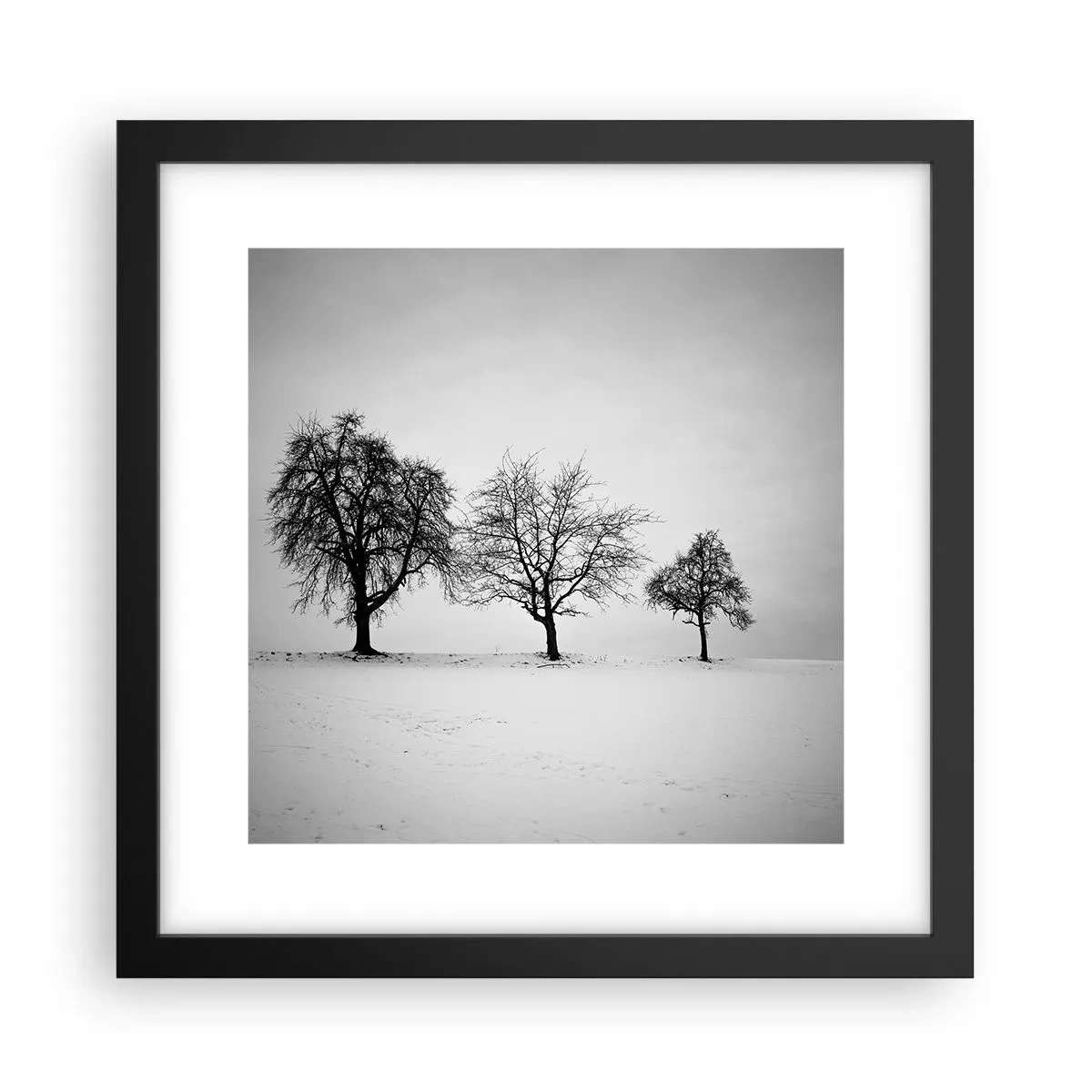 Poszter fehér keretben - Miről álmodoznak? - 30x30 cm