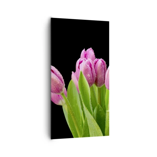 Vászonkép - Lila tavaszi öröm - 65x120 cm