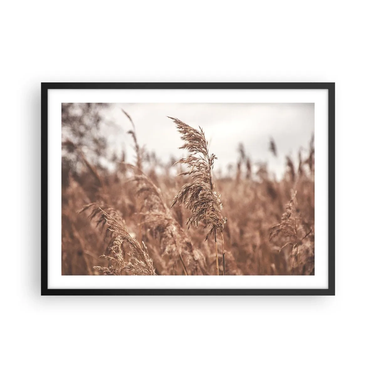 Poszter fehér keretben - Ősz van már a mezőkön - 70x50 cm