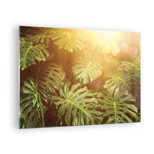 Üveg kép - Zöld monstera levelek a trópusi nap aranyló fényében - 70x50cm - A zöldbe belépni... - Modern fali dekoráció nappalihoz és hálószobához ARTTOR