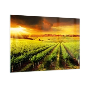 Üveg kép - Ausztrál nap alatt - 100x70 cm