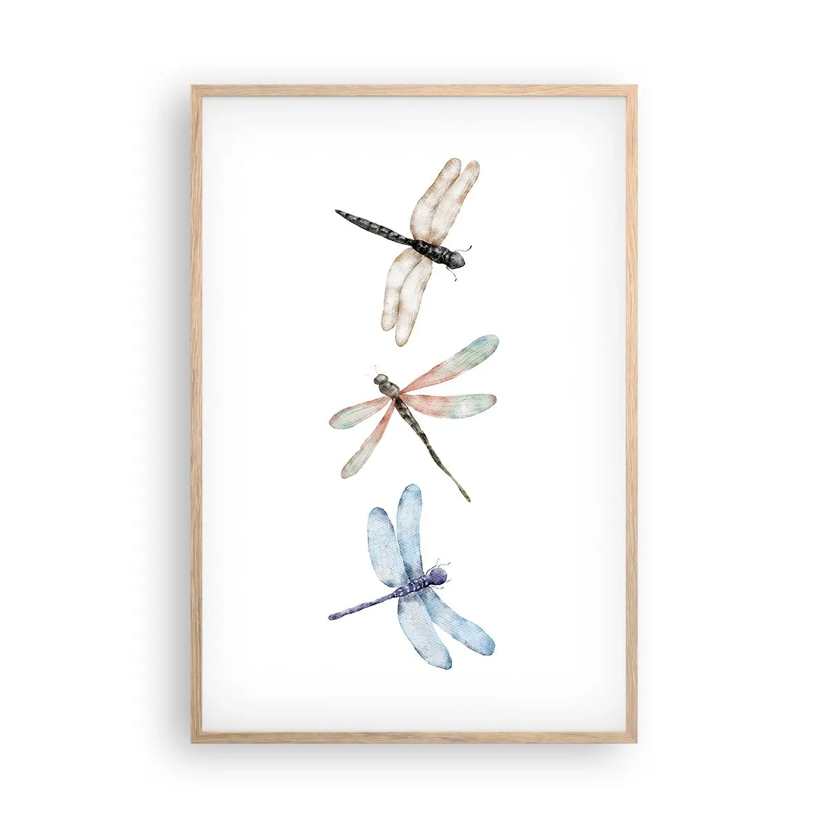 Poszter világos tölgy keretben - Súlytalan szitakötők - 61x91 cm