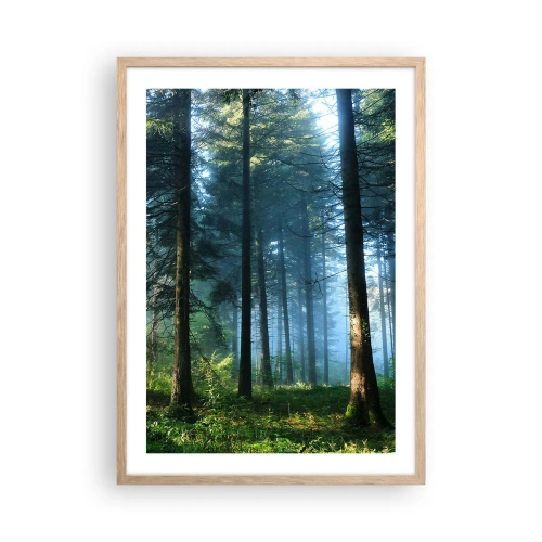 Poszter világos tölgy keretben - Sugárzó reggel - 50x70 cm