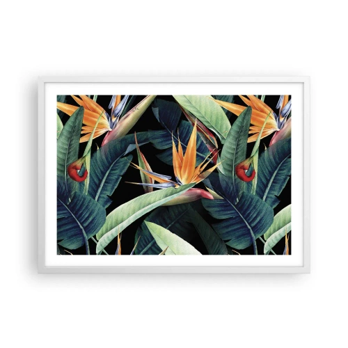 Poszter fekete keretben - A trópusok lángoló virágai - 70x50 cm