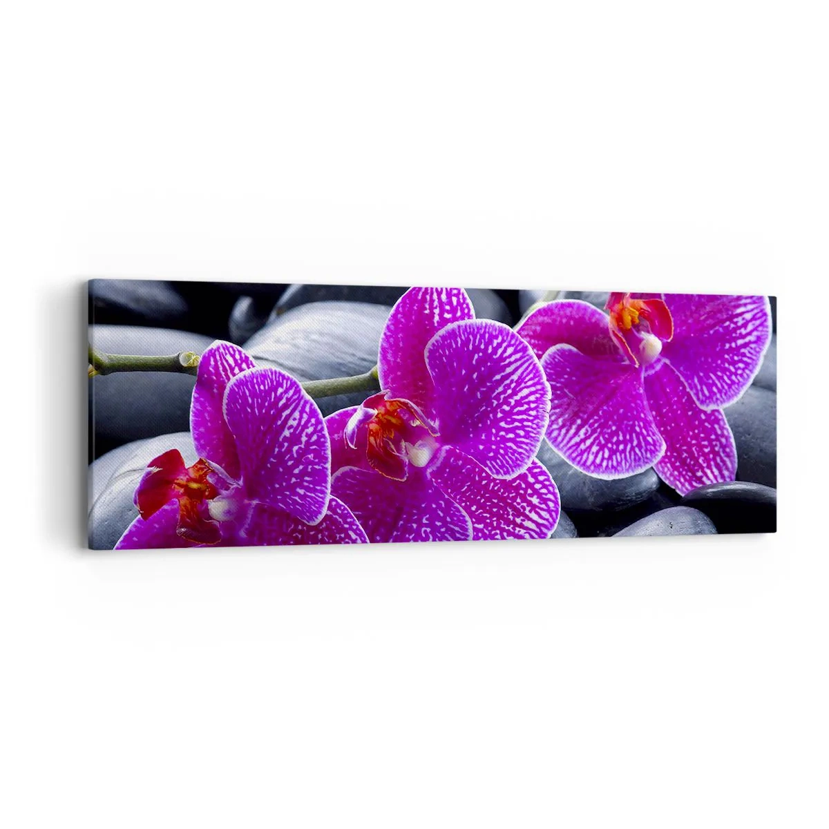 Vászonkép - A kövek kivilágosodtak az örömtől - 90x30 cm