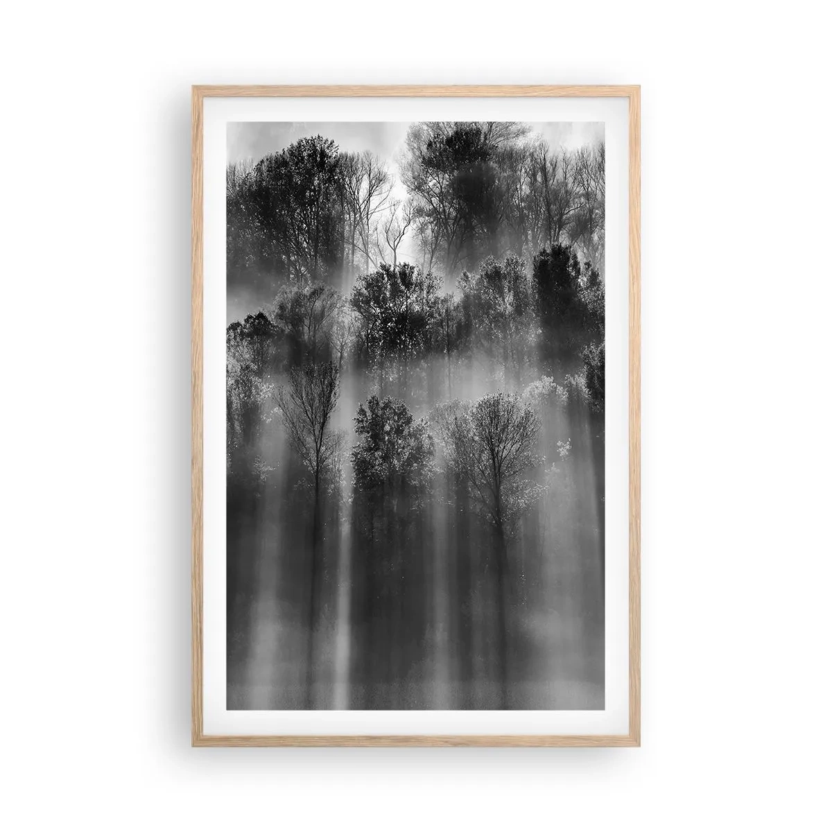 Poszter világos tölgy keretben - Fénypatakokban - 61x91 cm