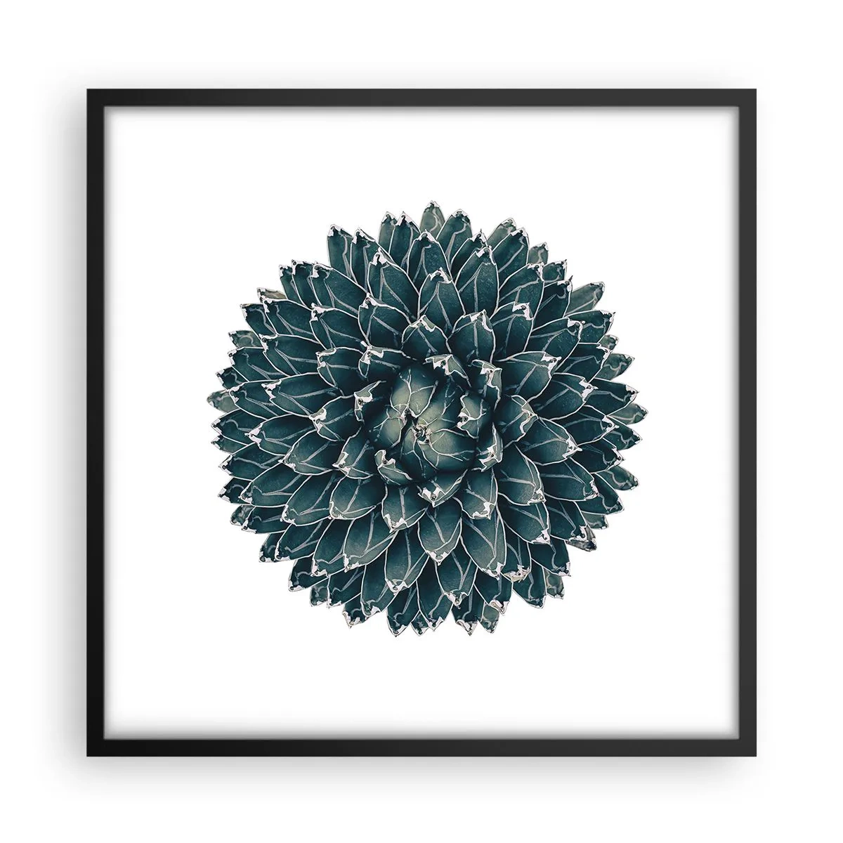 Poszter fehér keretben - A sivatag csillaga - 50x50 cm
