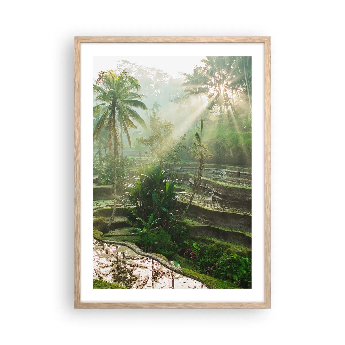 Poszter világos tölgy keretben - Felnőni a napon - 50x70 cm