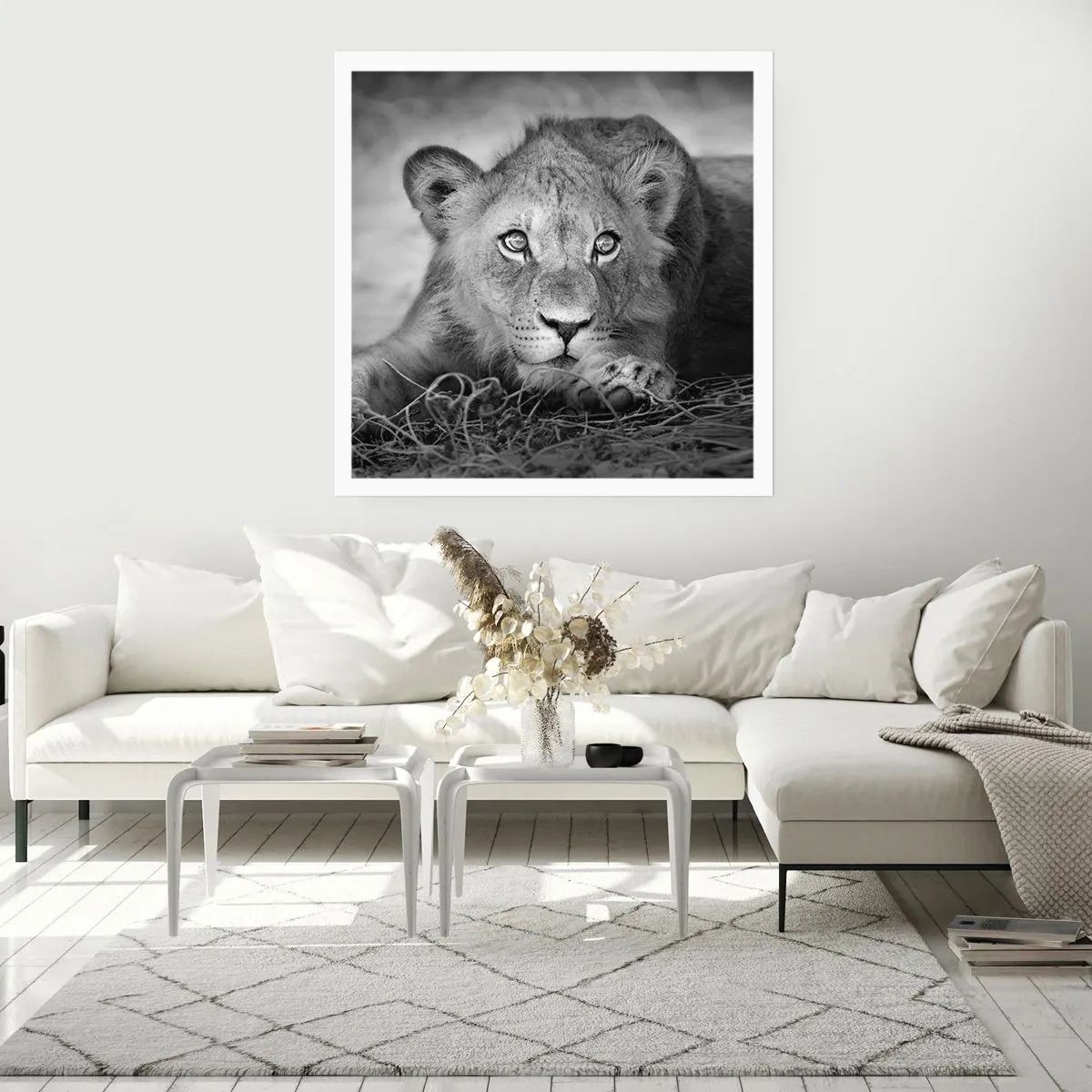 Poszter - Királyi kölyök - 40x40 cm