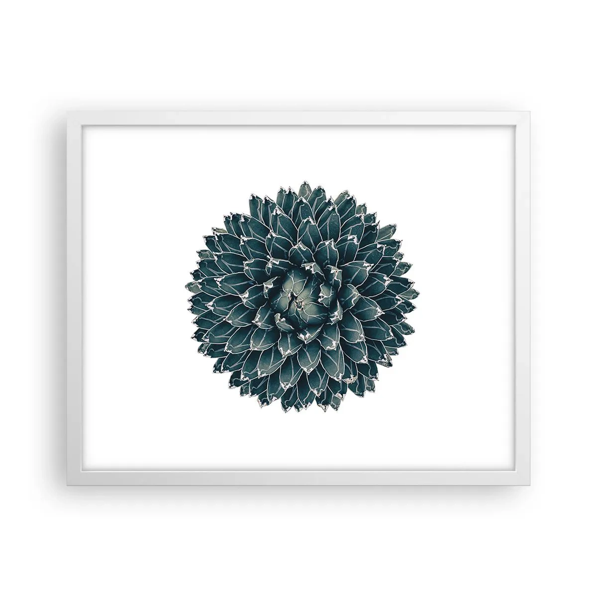 Poszter fekete keretben - A sivatag csillaga - 50x40 cm