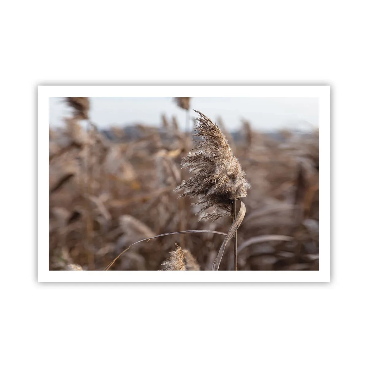 Poszter - Ideje elrepülni a széllel - 91x61 cm