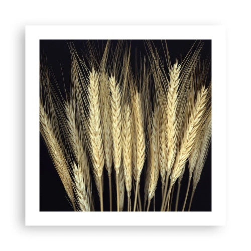 Poszter - Rusztikus varázslat - 50x50 cm