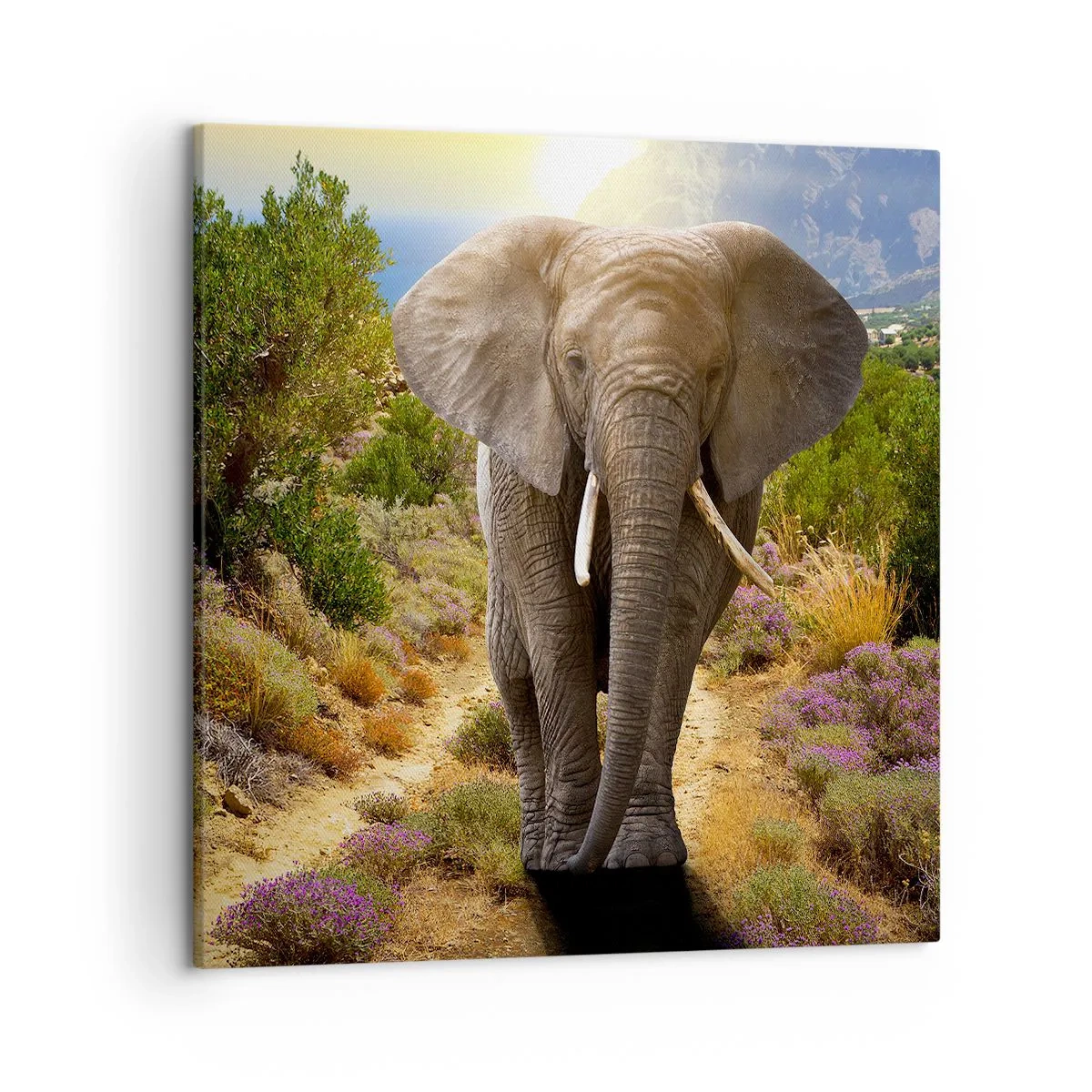 Vászonkép - Így nézett ki Eden - 50x50 cm