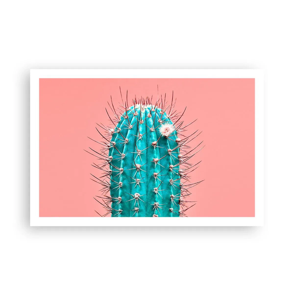 Poszter - Csak nézz - 91x61 cm