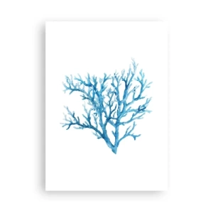 Poszter - Tengeri filigrán - 50x70 cm