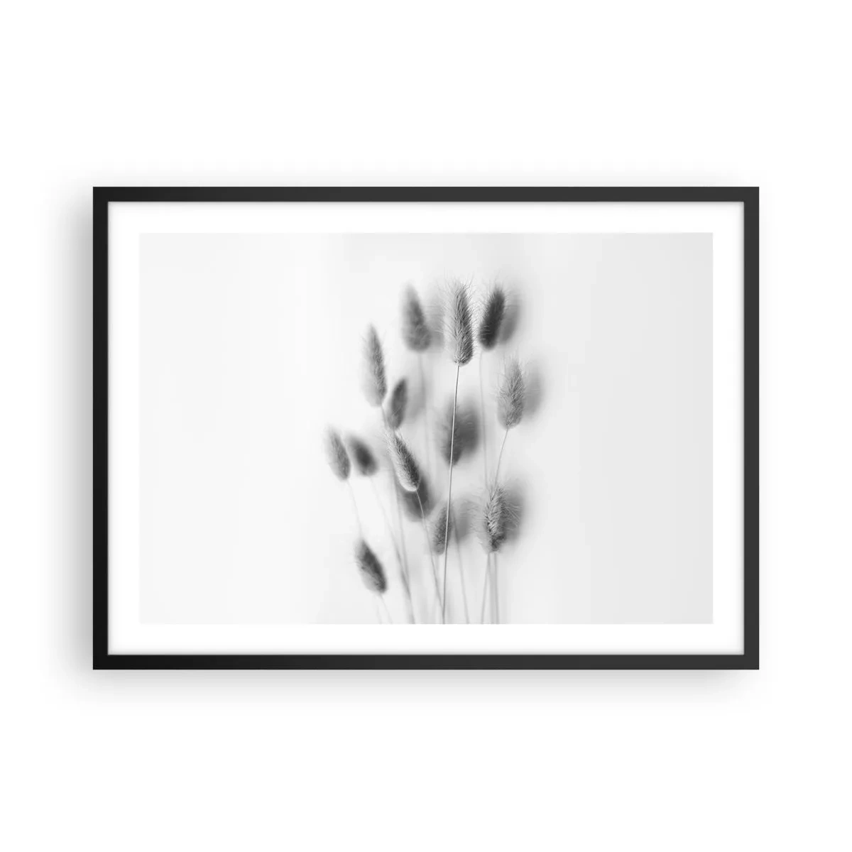 Poszter fehér keretben - A bolyhos fű - 70x50 cm