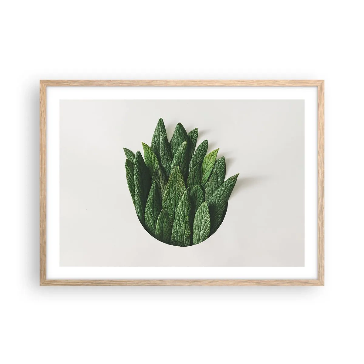 Poszter világos tölgy keretben - Féktelen kíváncsiság - 70x50 cm