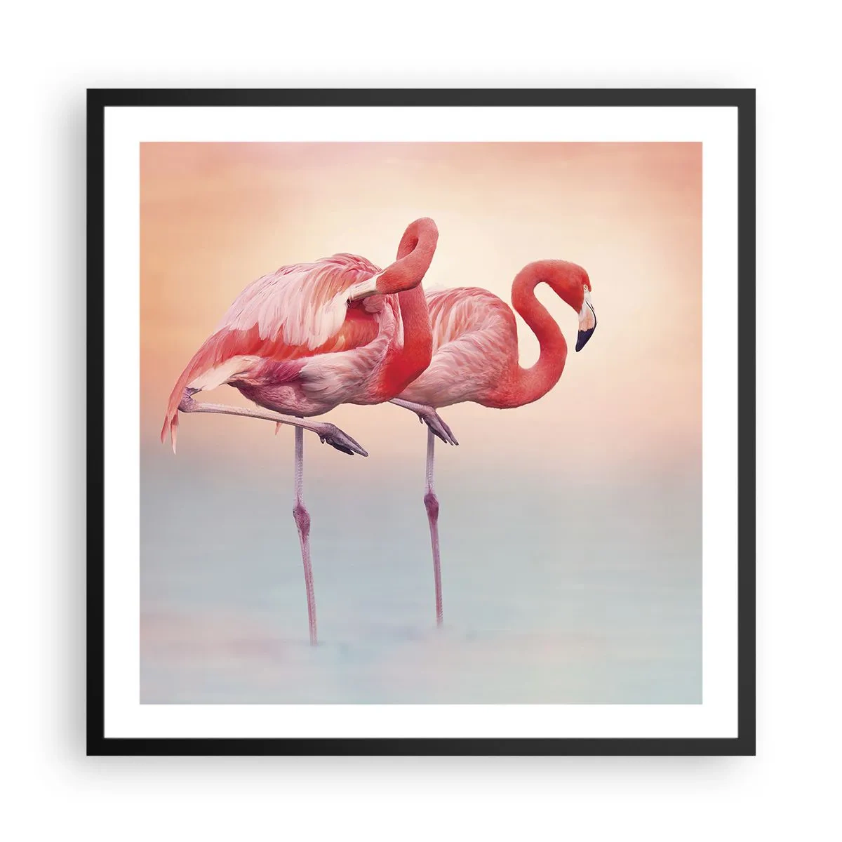 Poszter fehér keretben - A lenyugvó nap színe - 60x60 cm