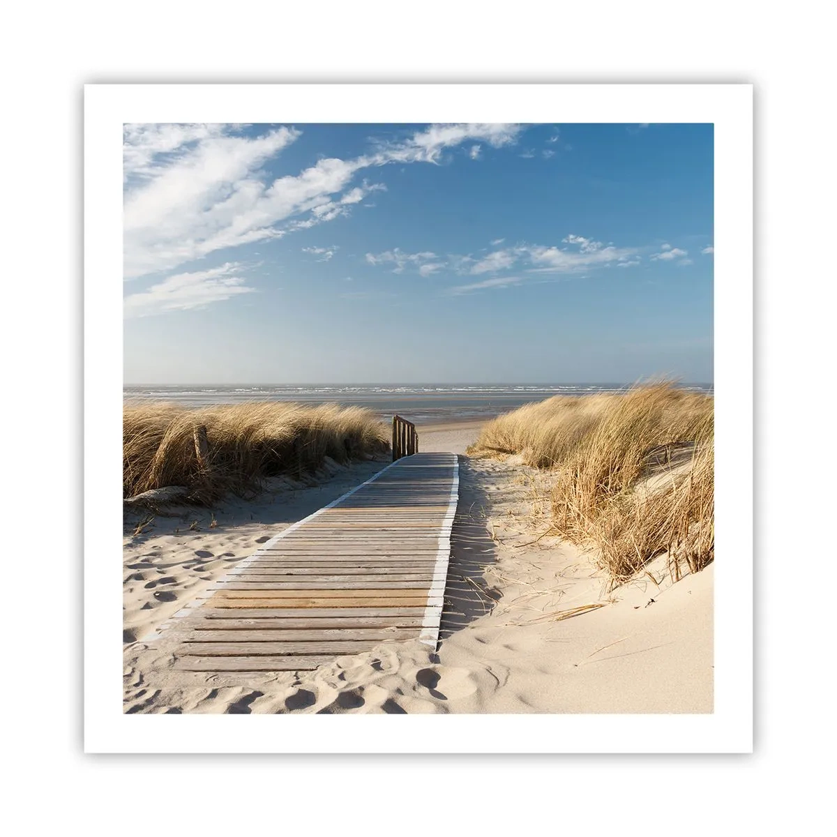 Poszter - A dűne mögött, a fű susogásában - 60x60 cm