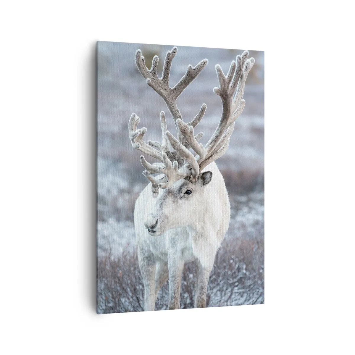 Vászonkép - Portré a napon - 70x100 cm