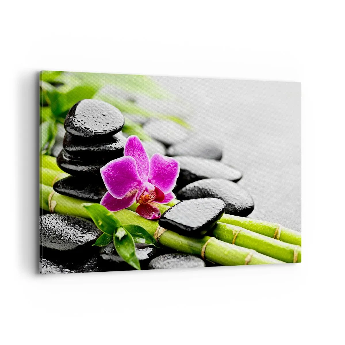 Vászonkép - Nyugodt egyensúlyban - 120x80 cm