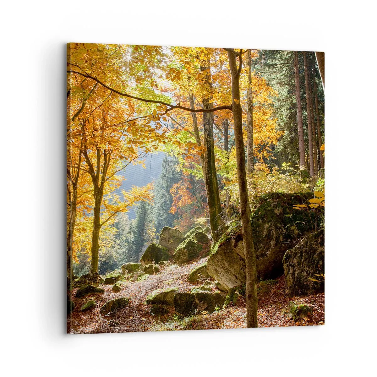 Vászonkép - Itt az ideje a pihenésnek - 60x60 cm