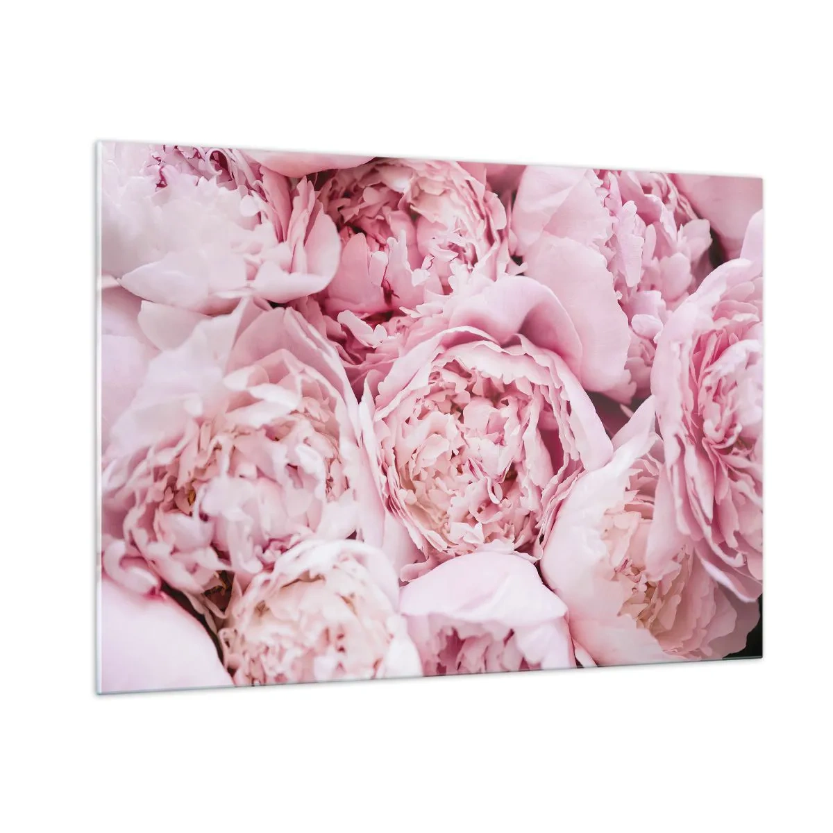 Üveg kép - Átölelve és illatos - 100x70 cm