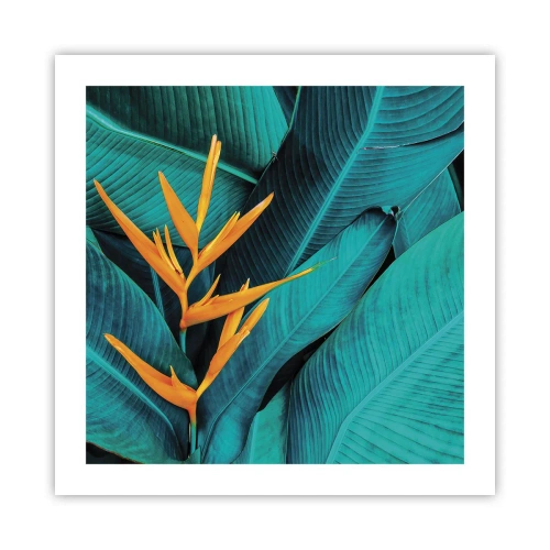 Poszter - Éden virága - 50x50 cm