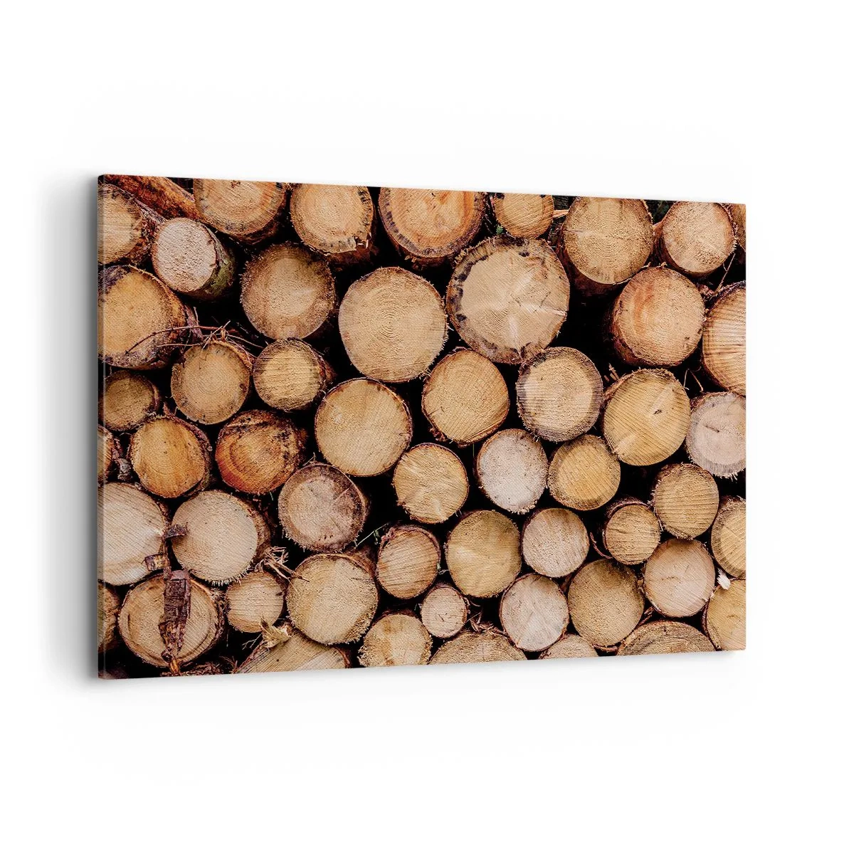 Vászonkép - Egy új kezdet - 100x70 cm