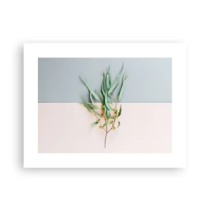 Poszter - Pasztell finomság - 40x30 cm