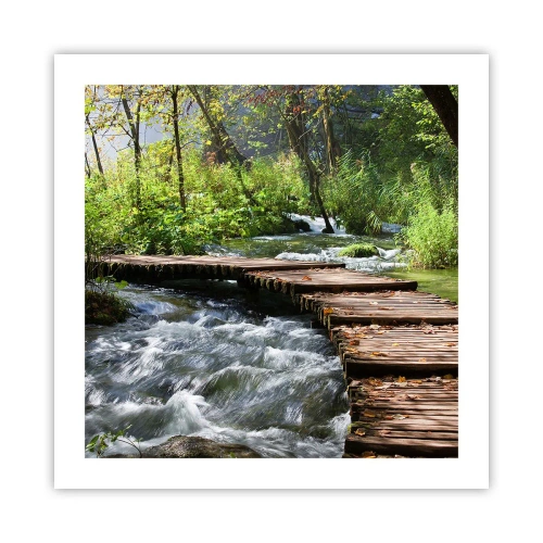 Poszter - A habzó zuhatag felett - 50x50 cm