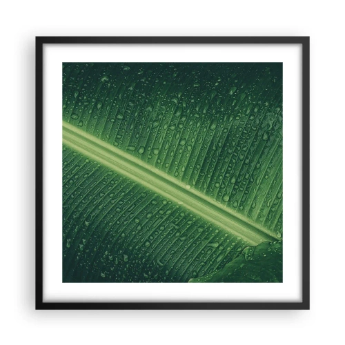 Poszter fehér keretben - A növényzet szerkezete - 50x50 cm