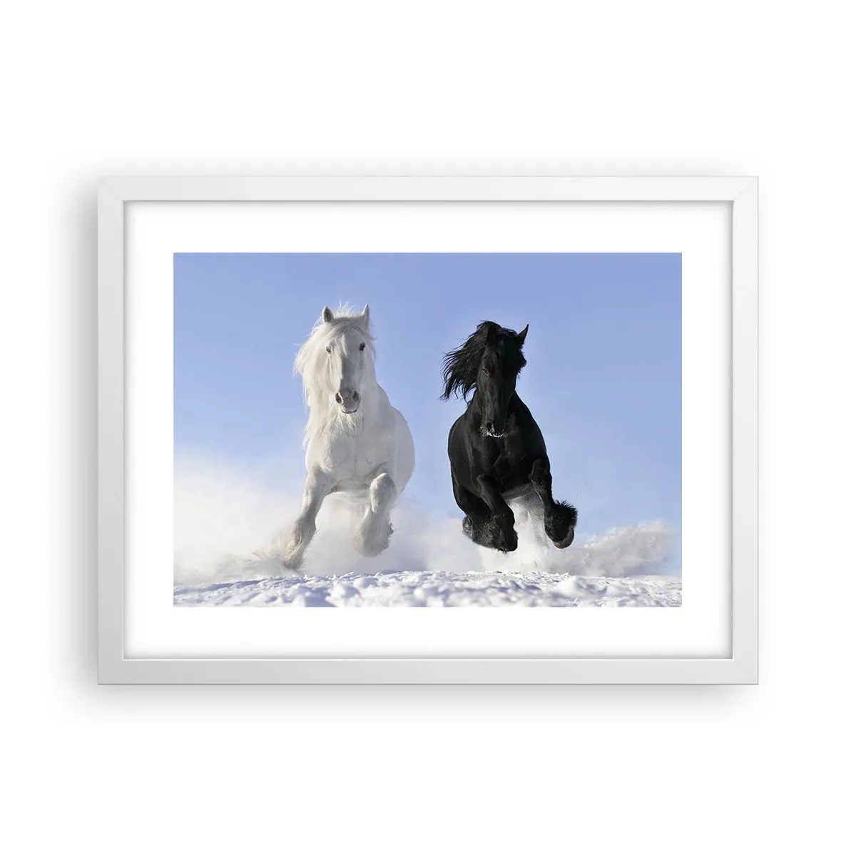 Poszter fekete keretben - Fekete-fehér galopp - 40x30 cm