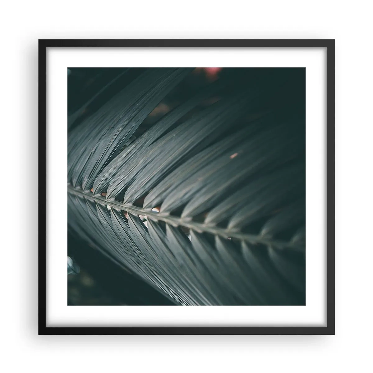Poszter fehér keretben - A természet pontossága - 50x50 cm