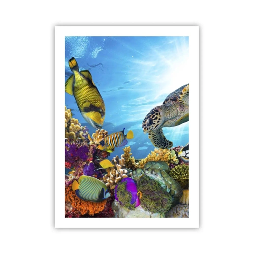 Poszter - Korall sétány - 50x70 cm