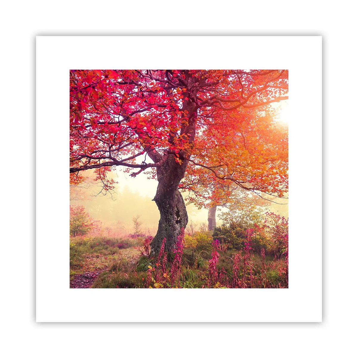 Poszter - Virágzás őrülete - 30x30 cm